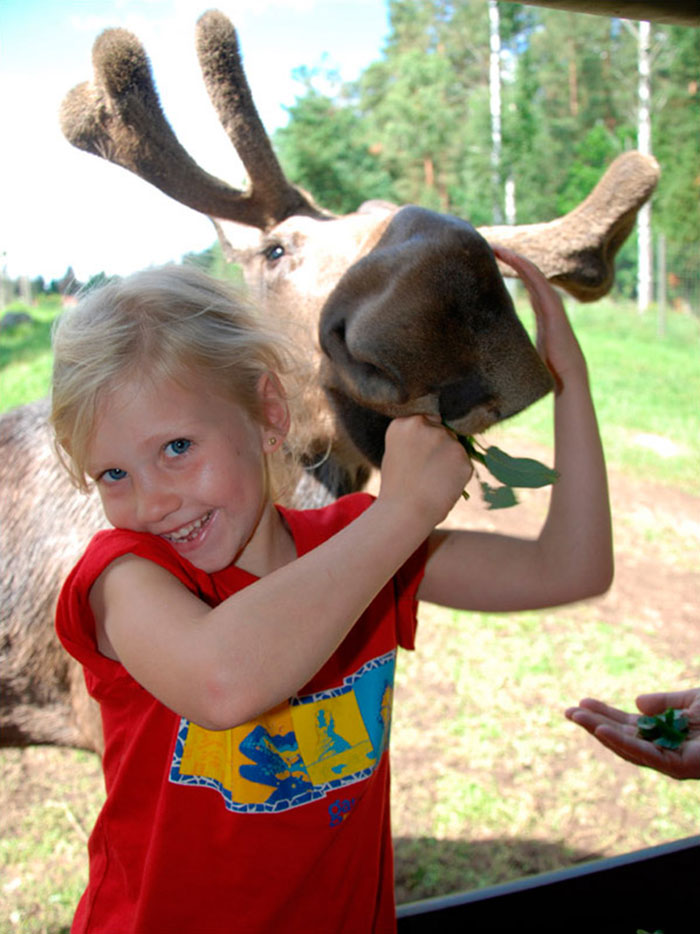 Familie Sommerburg - Ferienhäuser in Schweden - Gästebuch